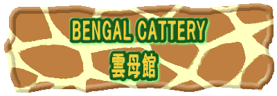BENGAL CATTERY     　 雲母館 